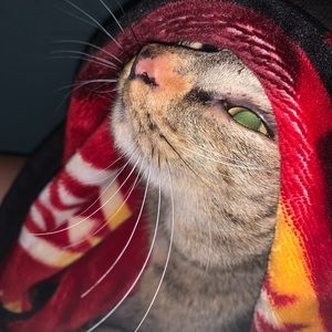 Meet your Posher, Nora